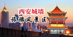 操瑞士丰满的婊子屄中国陕西-西安城墙旅游风景区